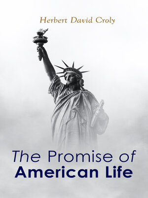 cover image of The Promise of American Life